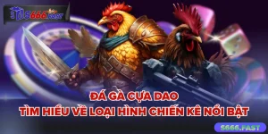 Đá gà cựa dao